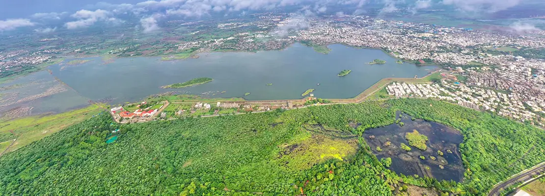 Victoria Park Climate