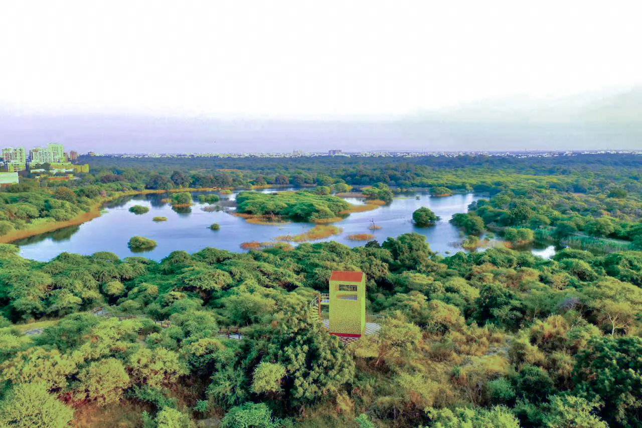 Victoria Park Geography