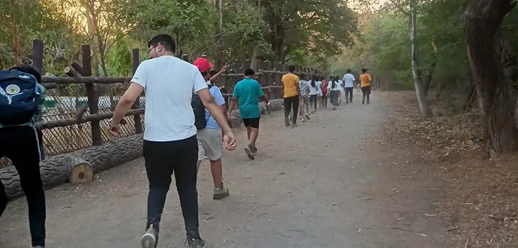 Nature Walk Victoria Park