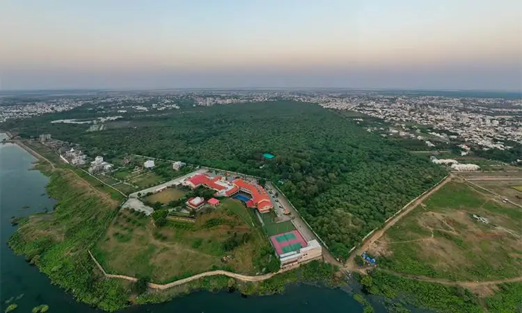 Why an Urban Forest?