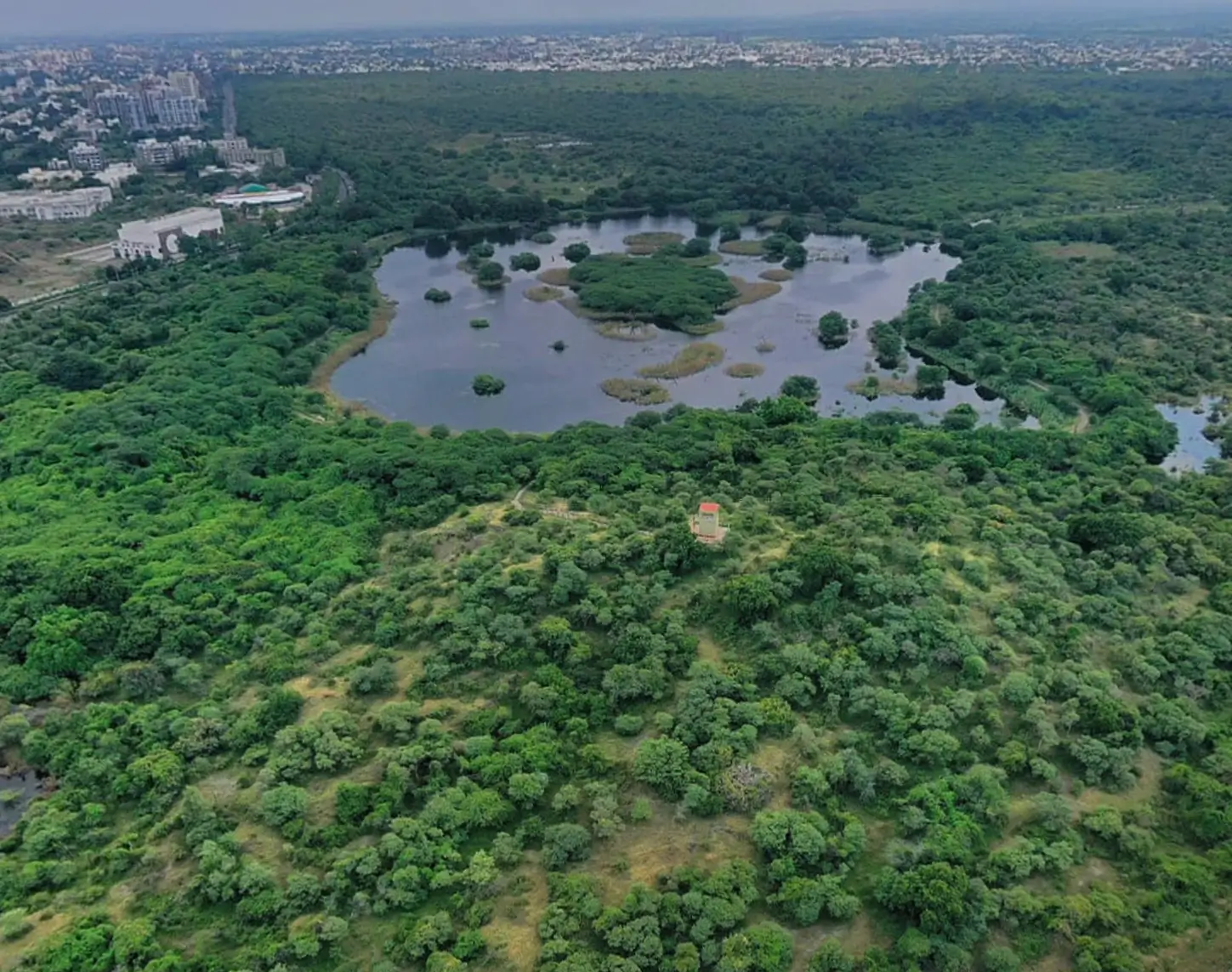 Victoria Park Drone View