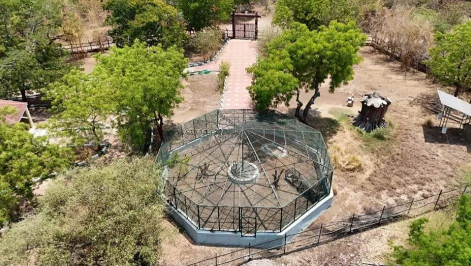 Aviary - Victoria Park