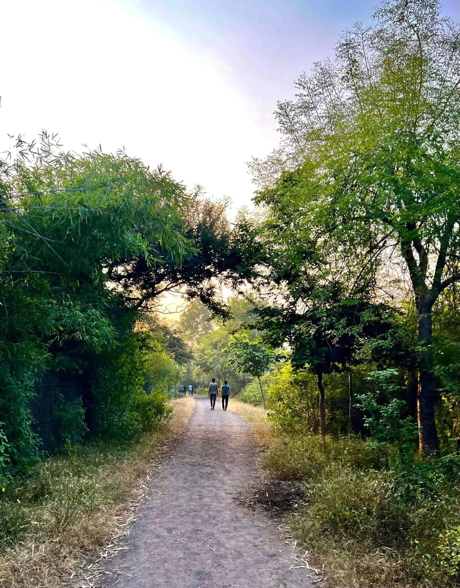 Walking - Victoria Park